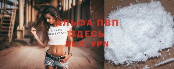 гашик Алексин