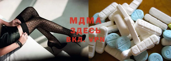 гашик Алексин