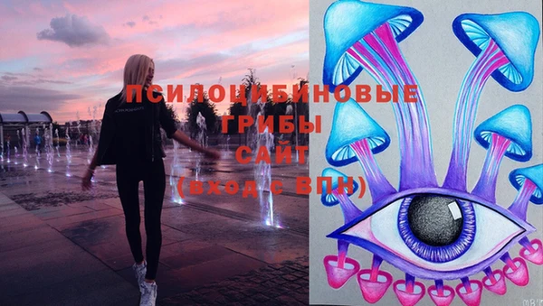 скорость Бутурлиновка