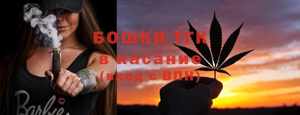 гашик Алексин