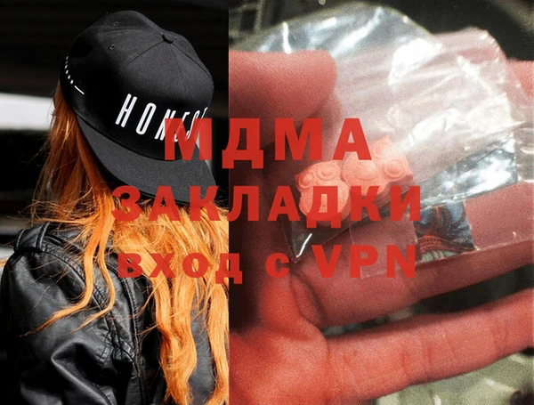 гашик Алексин