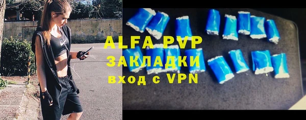 гашик Алексин