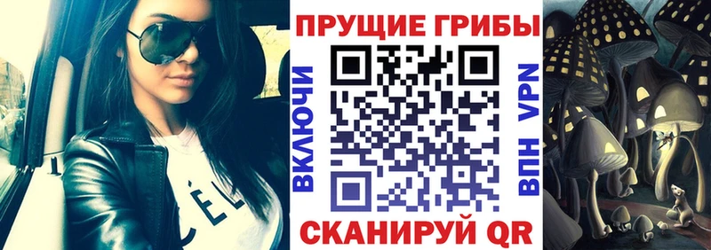 Псилоцибиновые грибы GOLDEN TEACHER  наркошоп  Приозерск 